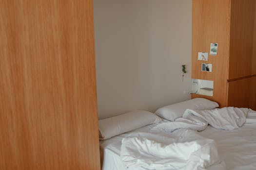 cozy, minimalist living space